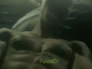 PunaniDr