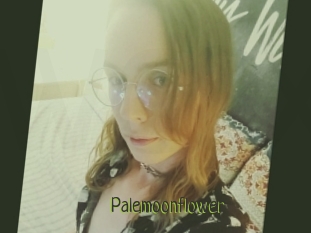 Palemoonflower