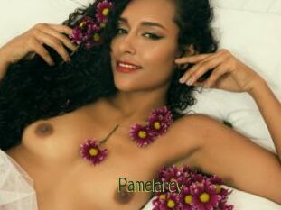 Pamelarey