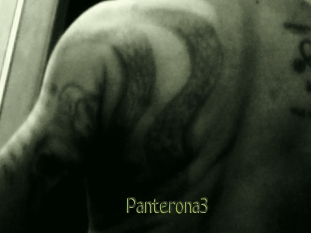 Panterona3