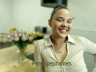 Penelopejohannes