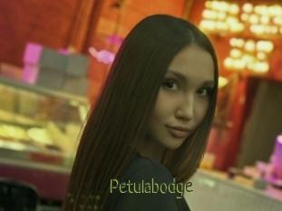 Petulabodge