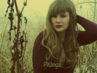 Pitanga
