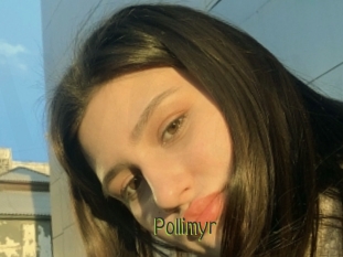 Pollimyr