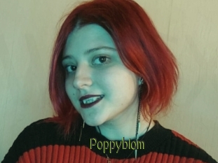 Poppyblom