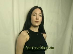 Primrosebingham