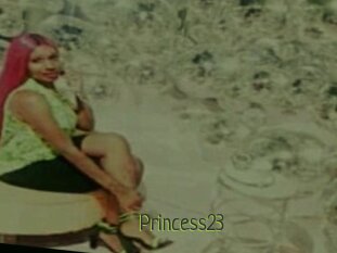 Princess23