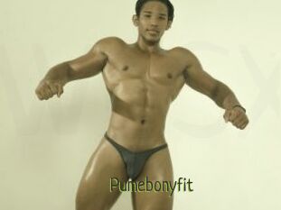 Pumebonyfit