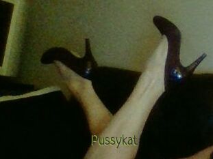 Pussykat
