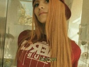 Raaccon
