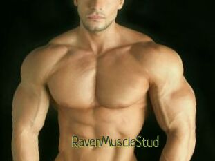 RavenMuscleStud