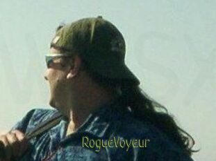 RogueVoyeur