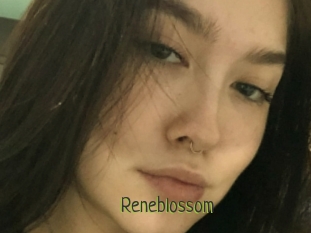 Reneblossom