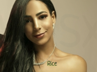 Rice