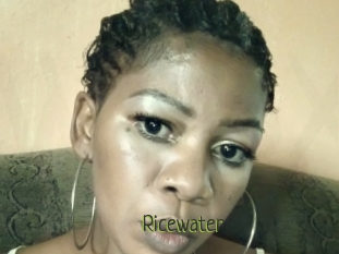 Ricewater