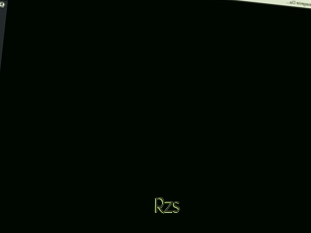 Rzs