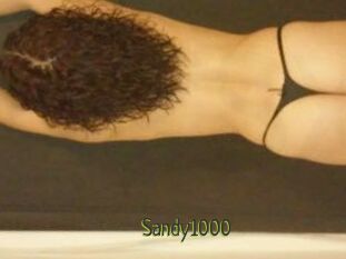 Sandy1000