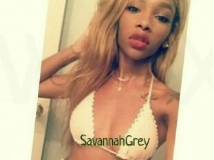 Savannah_Grey