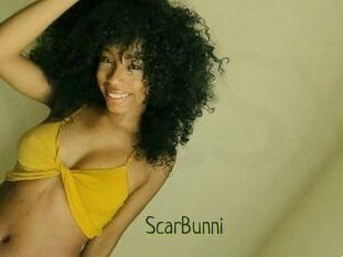ScarBunni