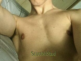 Scottish_Stud