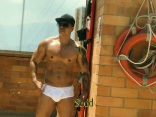 Sedd