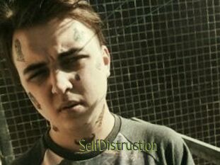 SelfDistruction