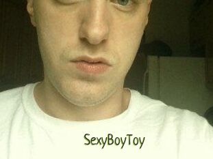 SexyBoyToy
