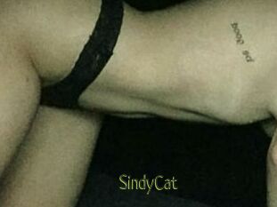 SindyCat