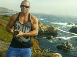 Steve_Wild