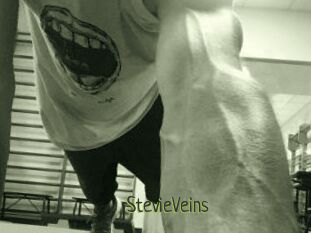StevieVeins