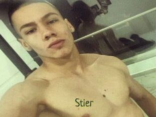 Stier
