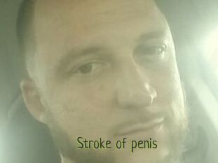 Stroke_of_penis