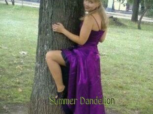 Summer_Dandelion