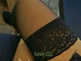 Sandy1111