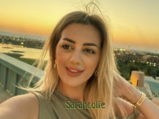 Sarahcollie