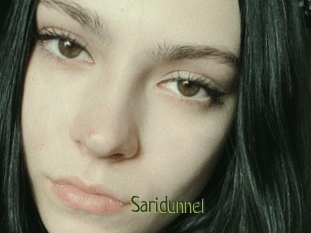 Saridunnel
