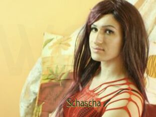 Schascha