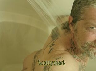Scottyshark