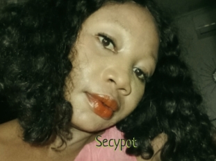 Secypot