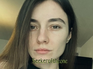 Seekeroftheone