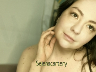 Selenacartery