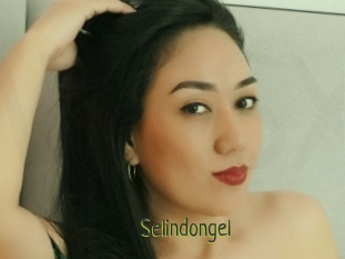 Selindongel