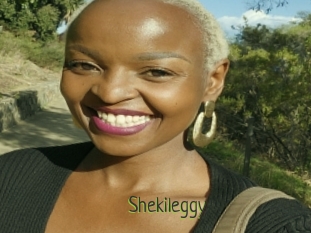 Shekileggy