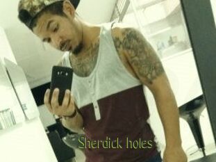 Sherdick_holes