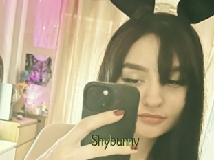 Shybunny
