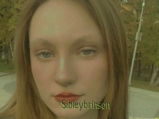 Sibleybrinson
