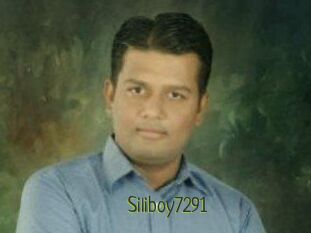 Siliboy7291