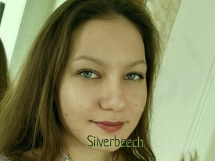 Silverbeech