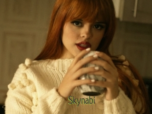 Skynabi