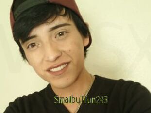 SmallbuTfun243